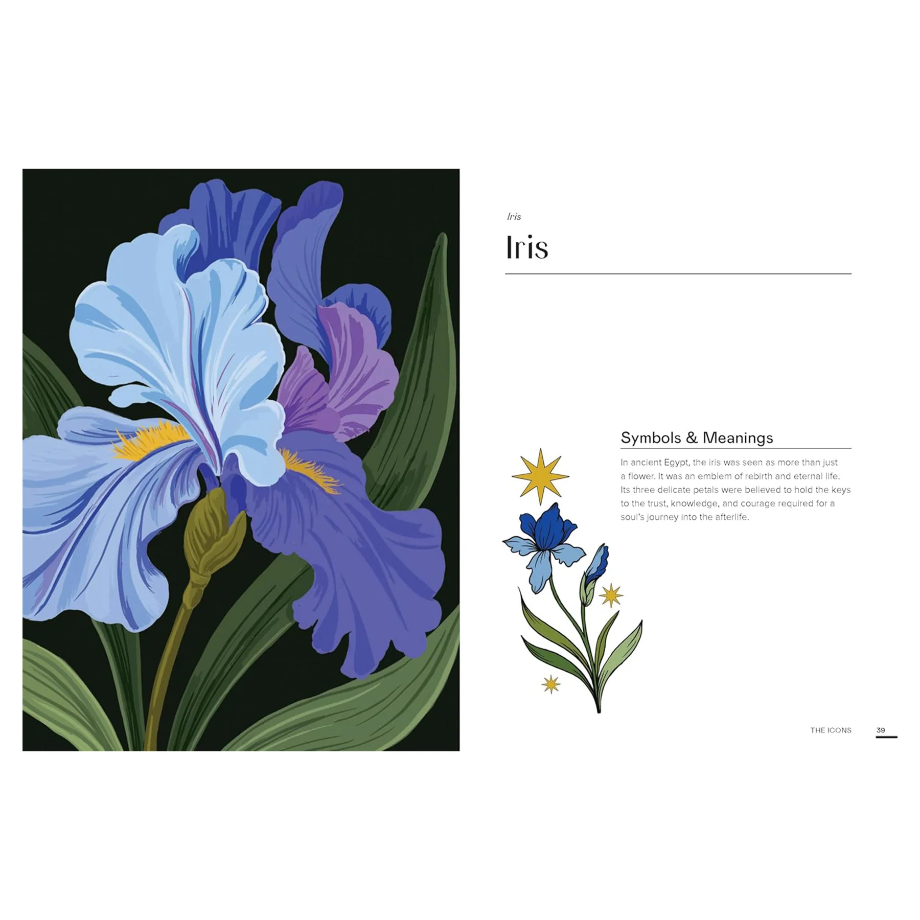 FLORAPHILE'S ALMANAC: AN ILLUSTRATED MISCELLANY - Image 5