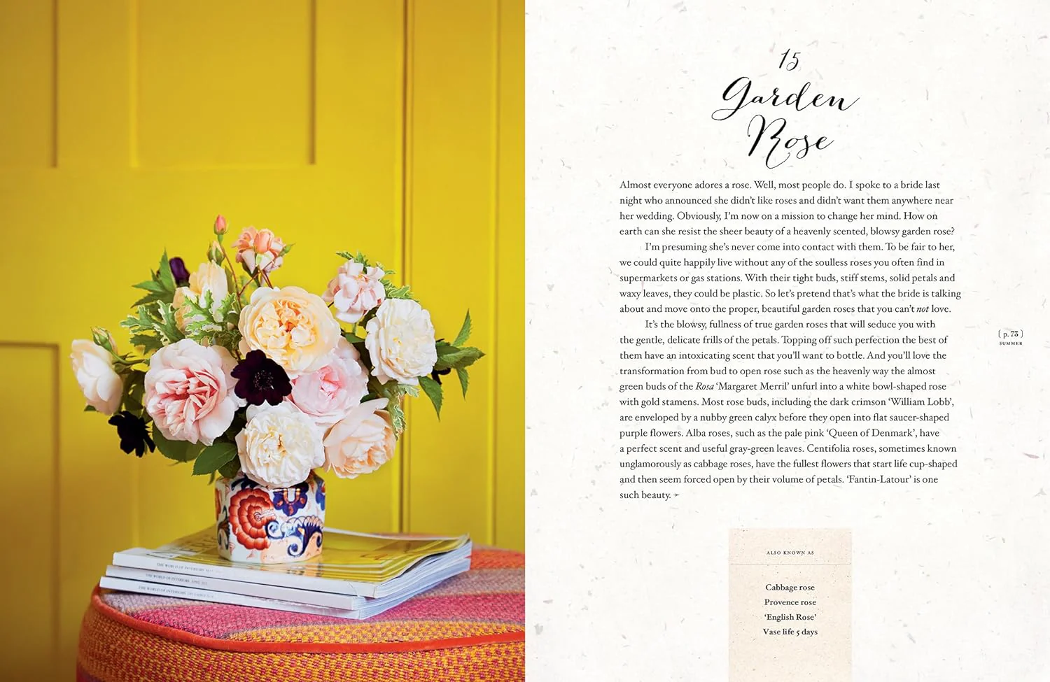 FLOURISH - Image 4
