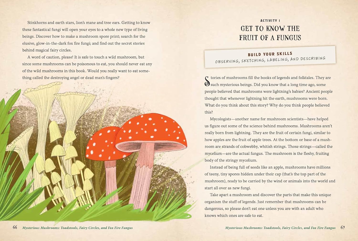 FOREST MAGIC FOR KIDS - Image 3