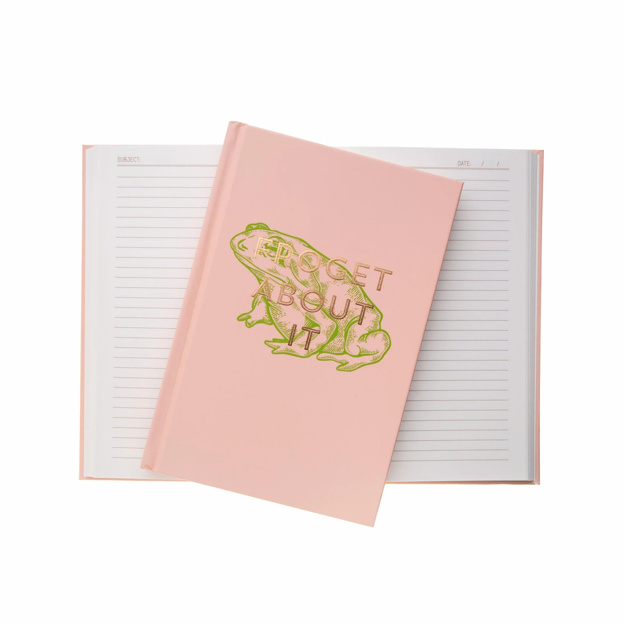 FROGET ABOUT IT JOURNAL