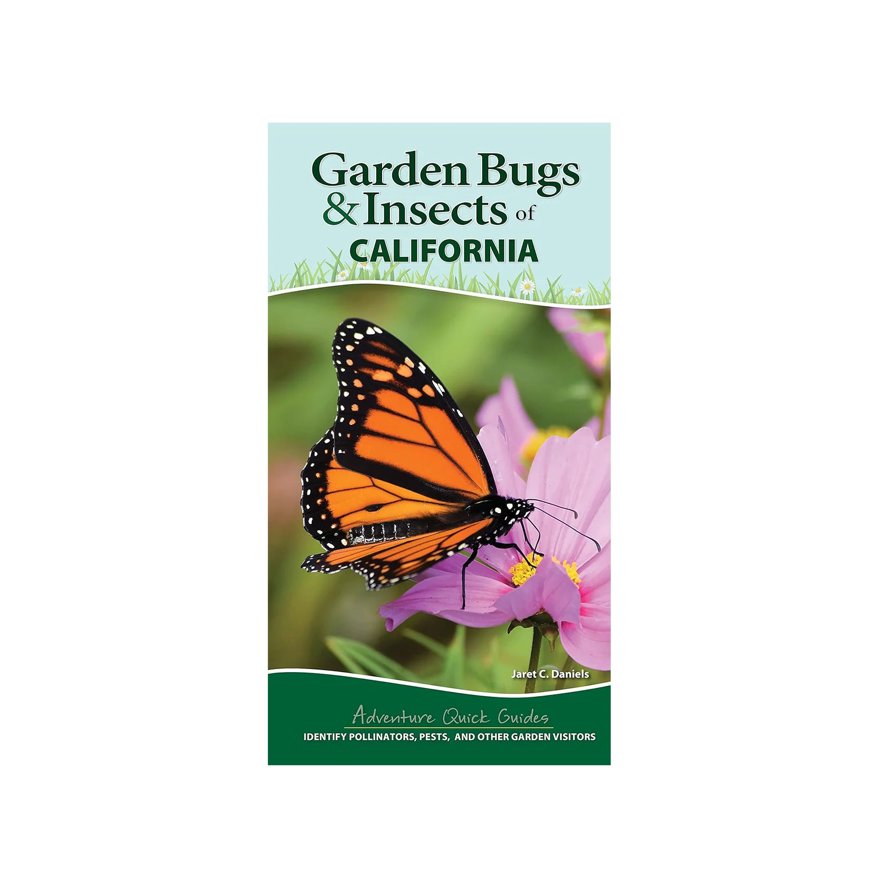 GARDEN BUGS & INSECTS OF CALIFORNIA - Image 2