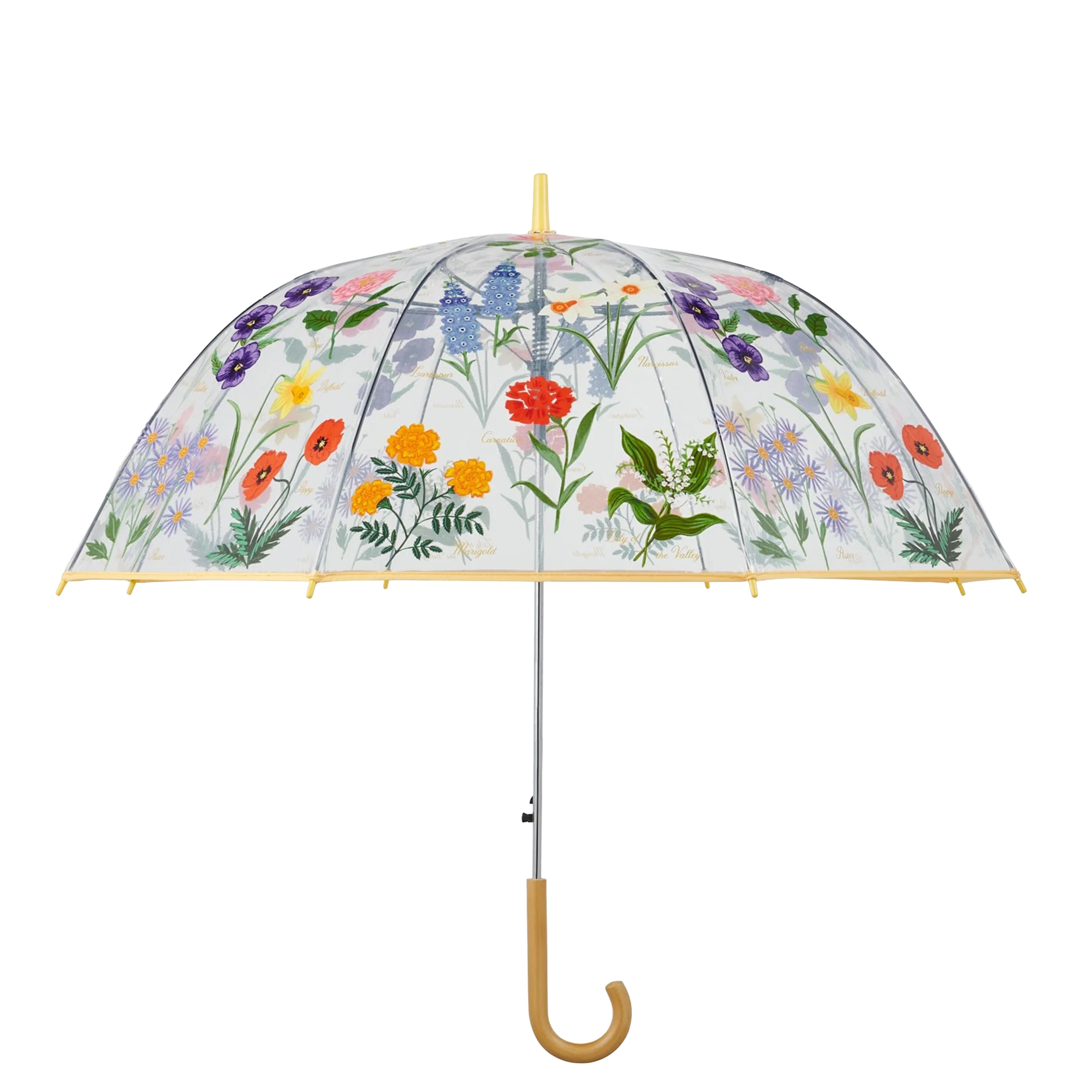 GARDEN STUDY CLEAR UMBRELLA