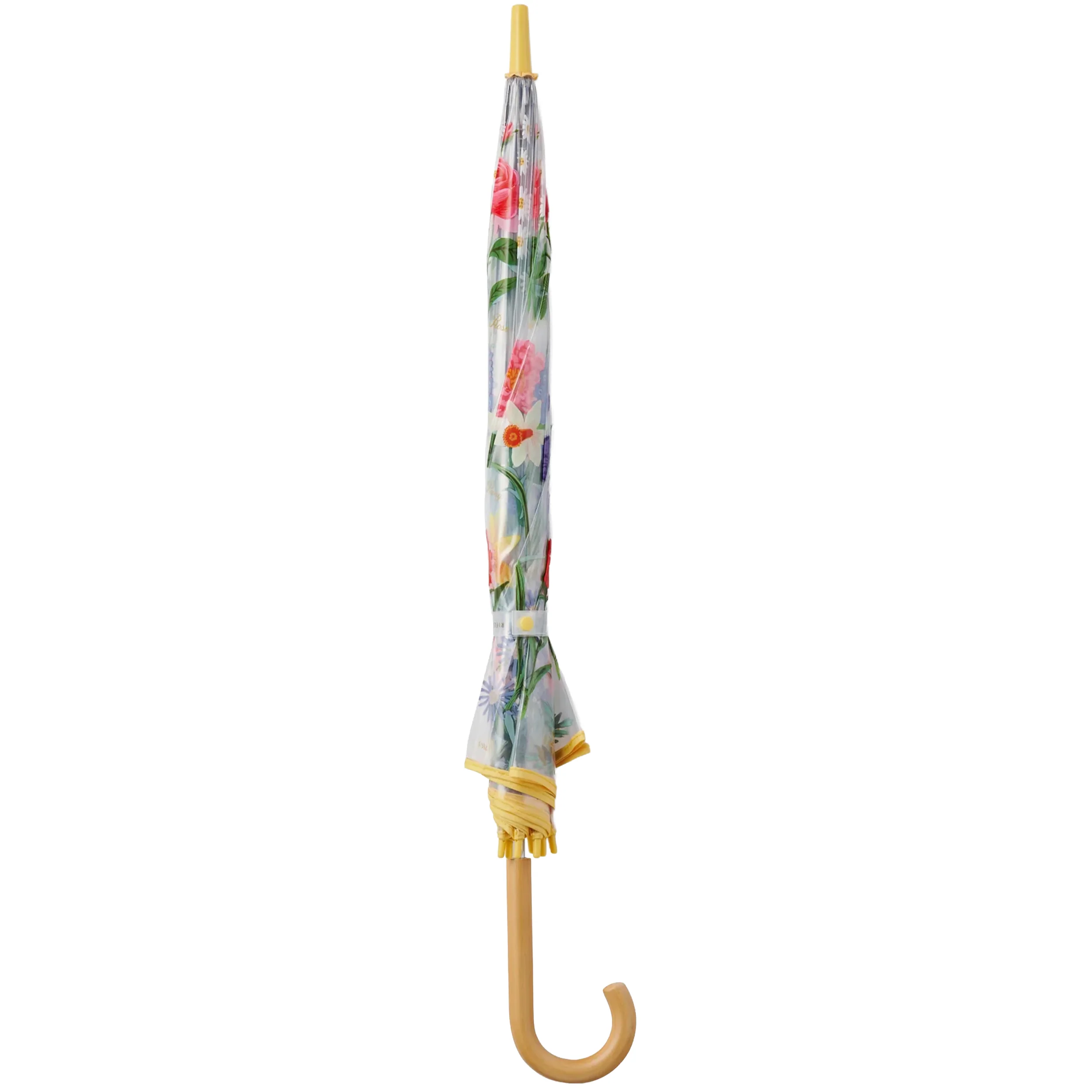 GARDEN STUDY CLEAR UMBRELLA - Image 3