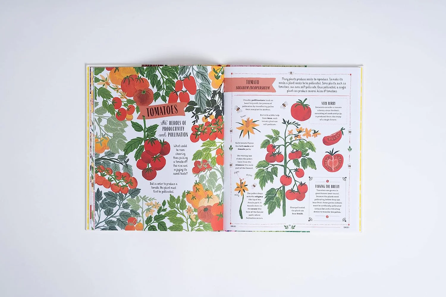 GROW: A CHILDREN'S GUIDE TO PLANTS & HOW TO GROW THEM - Image 2