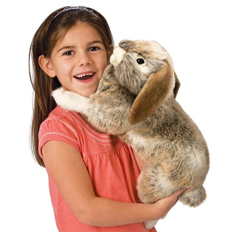 HOLLAND LOP RABBIT - Image 3