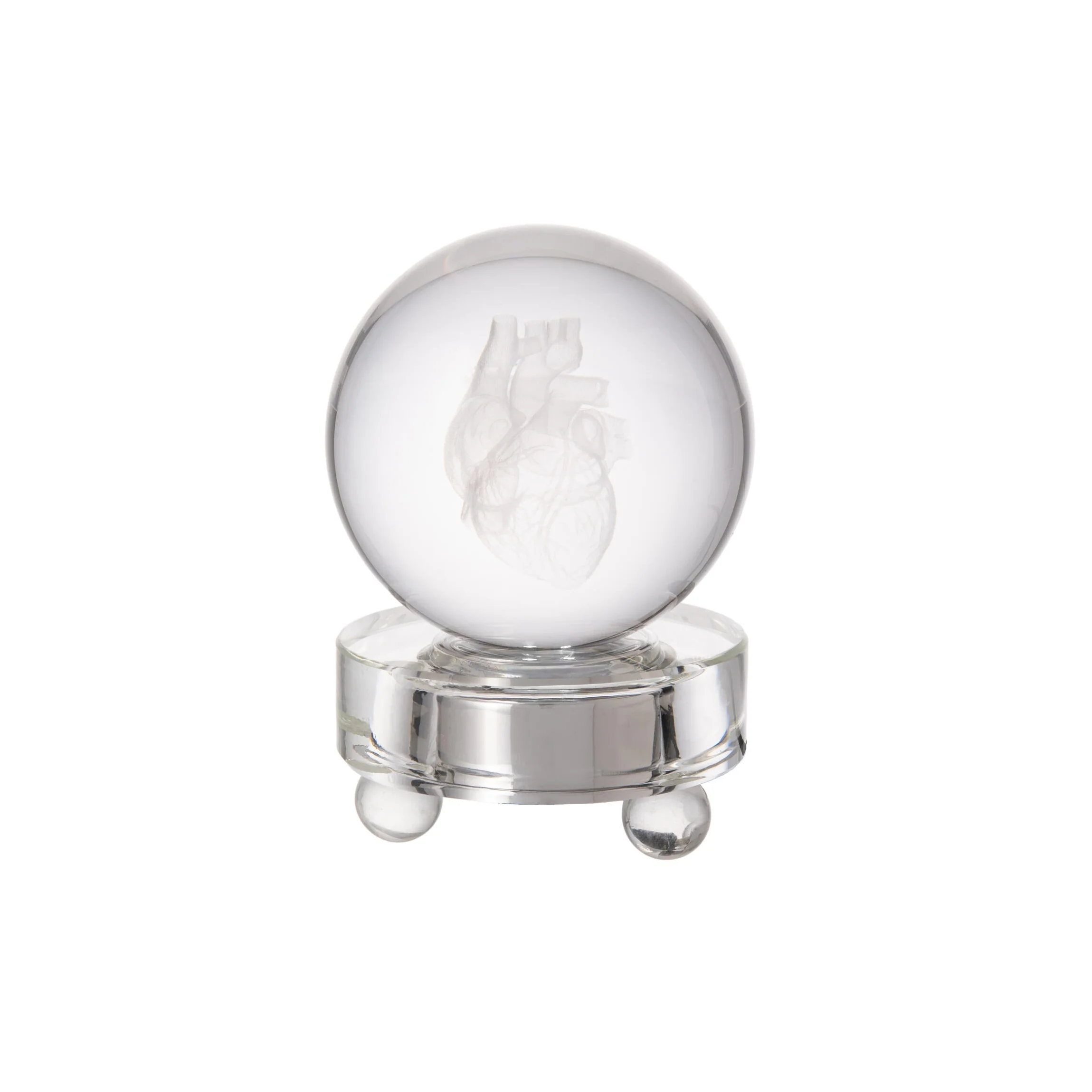 HUMAN HEART PAPERWEIGHT WITH LIGHT-UP BASE
