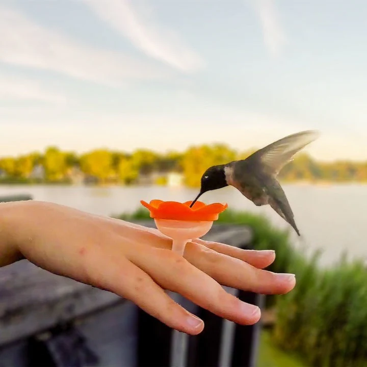 HUMMINGBIRD RING FEEDER - Image 2