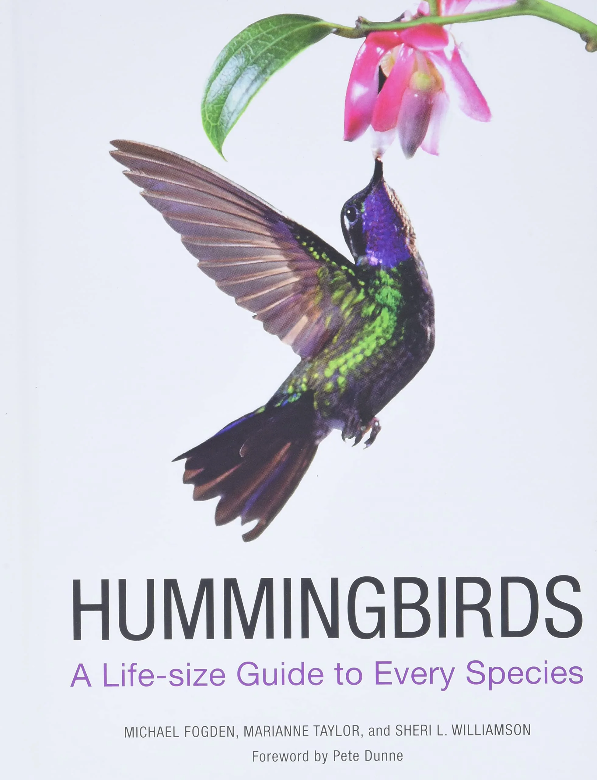 HUMMINGBIRDS: A LIFE-SIZE GUIDE TO EVERY SPECIES - Image 2