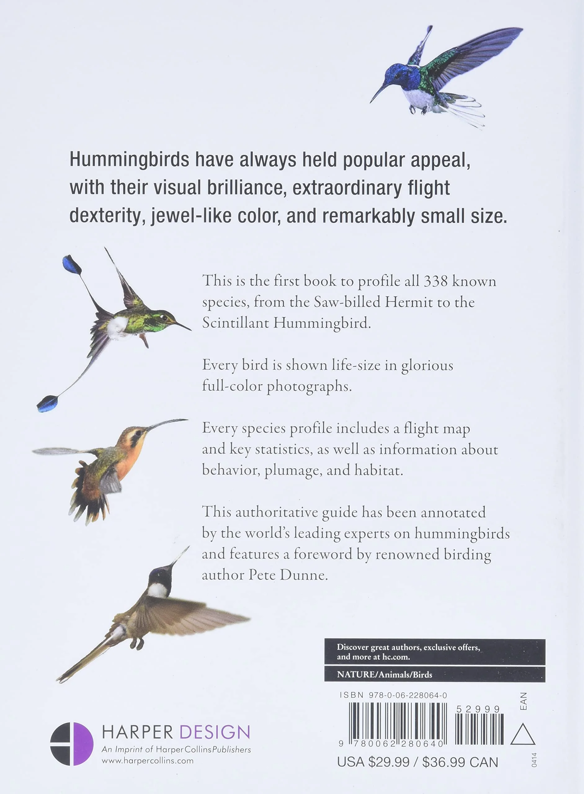 HUMMINGBIRDS: A LIFE-SIZE GUIDE TO EVERY SPECIES - Image 3