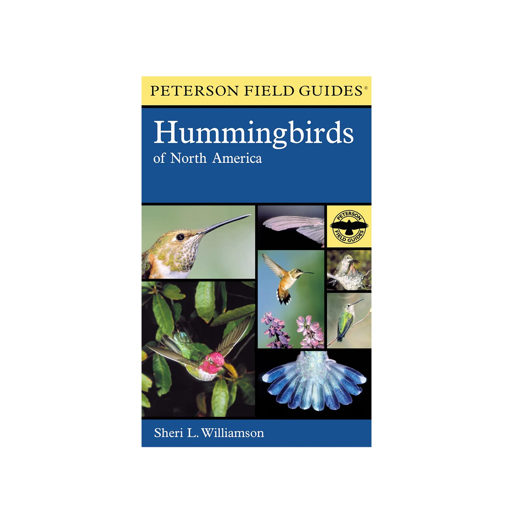 HUMMINGBIRDS OF NORTH AMERICA