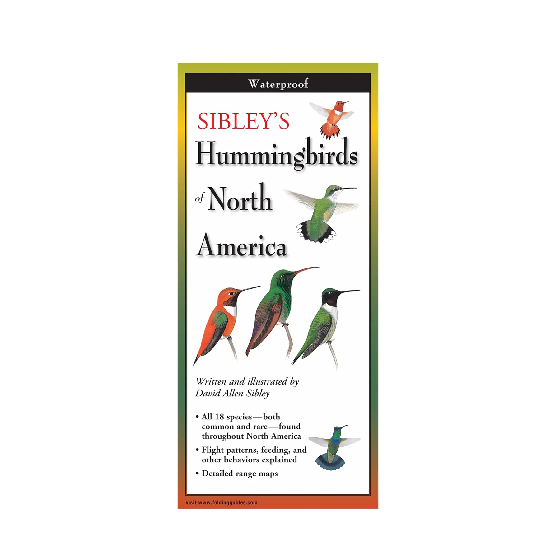 HUMMINGBIRDS OF NORTH AMERICA FIELD GUIDE