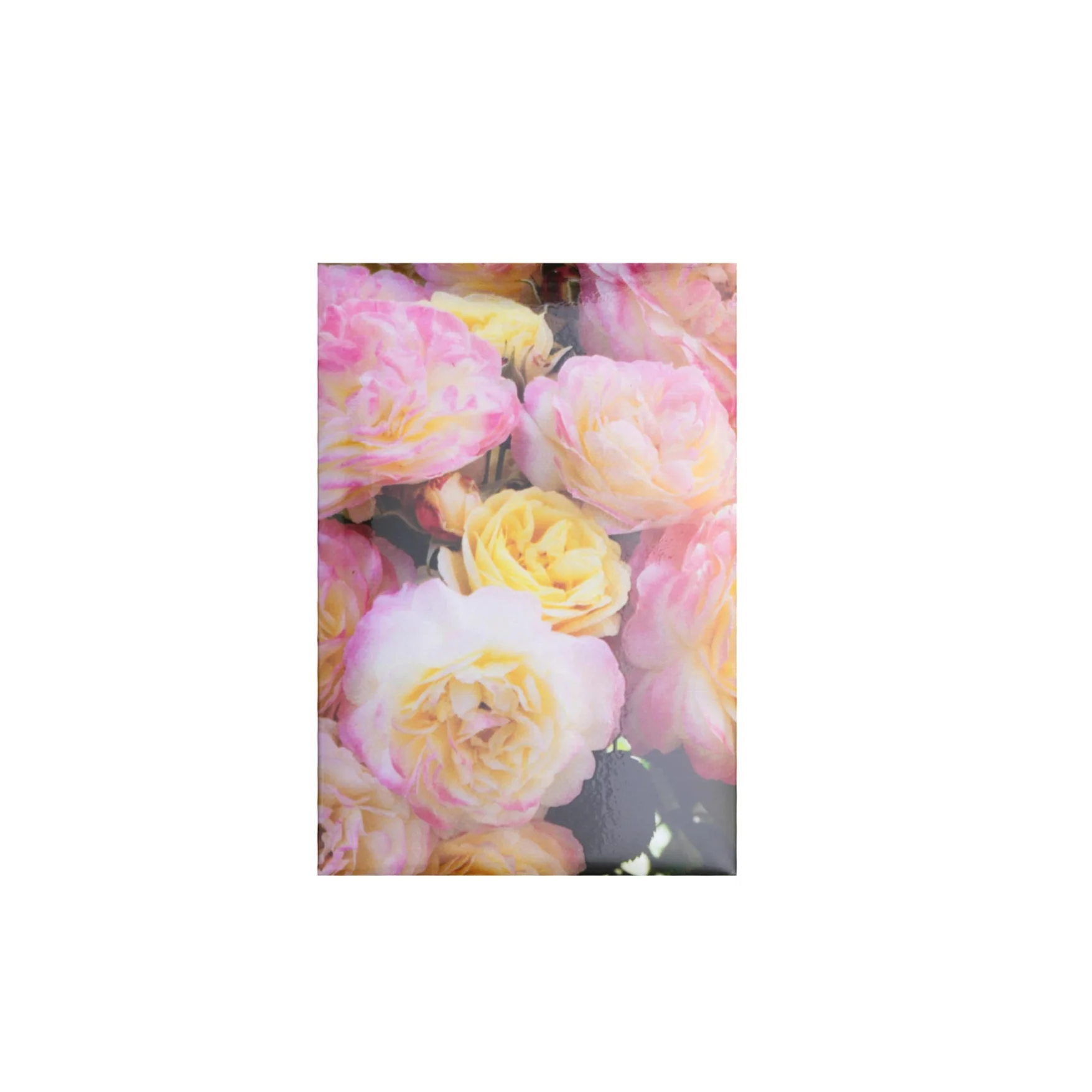 HUNTINGTON'S 100TH ROSE MAGNET
