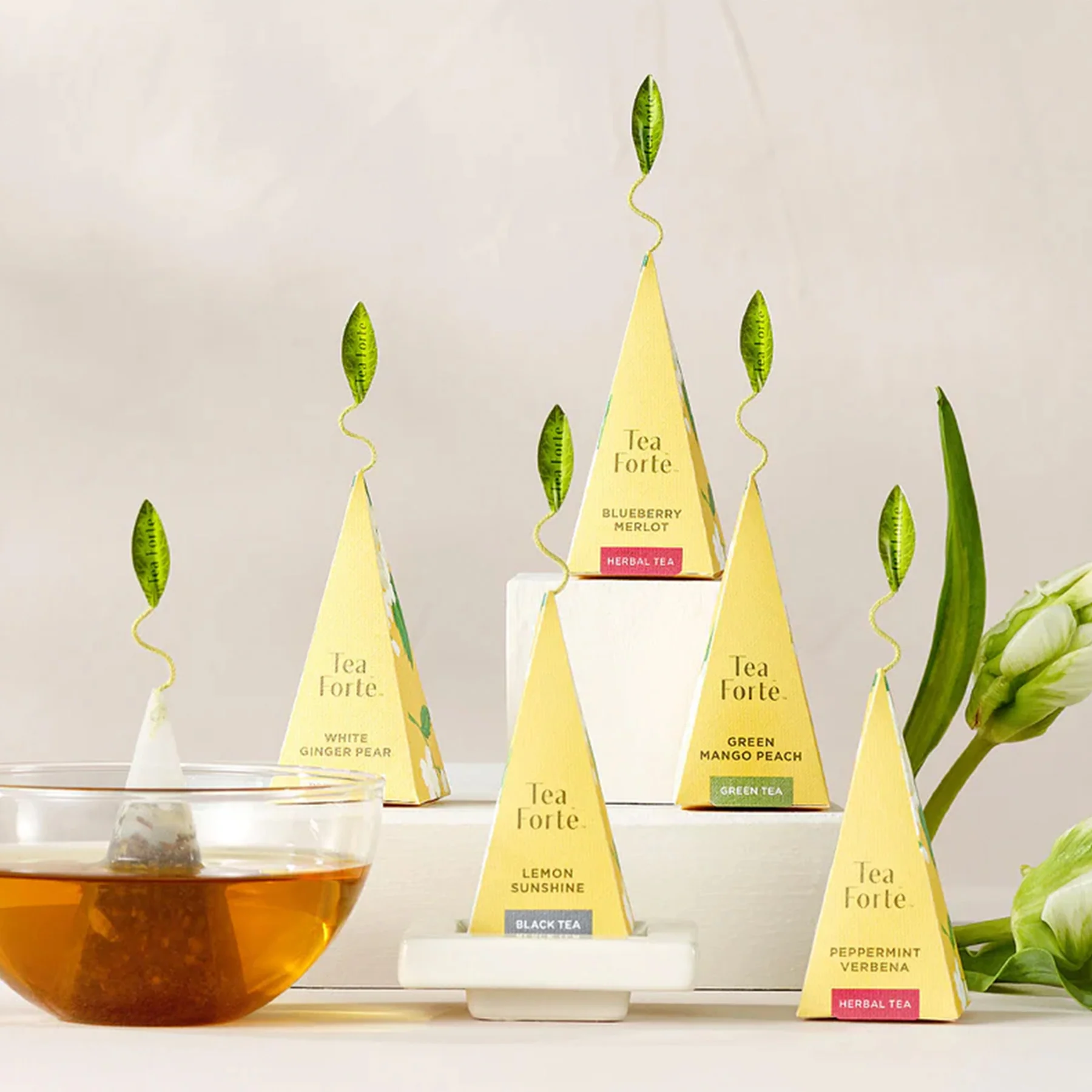 HYDRANGEA MIXED TEAS PRESENTATION BOX - Image 4