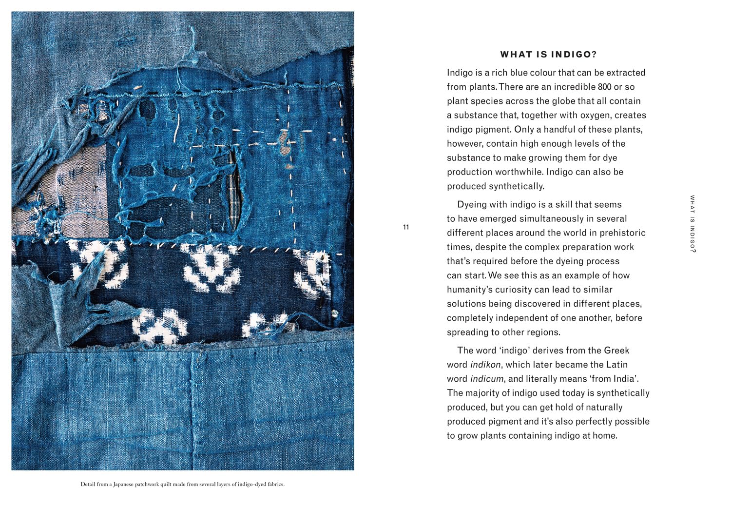 INDIGO - Image 2