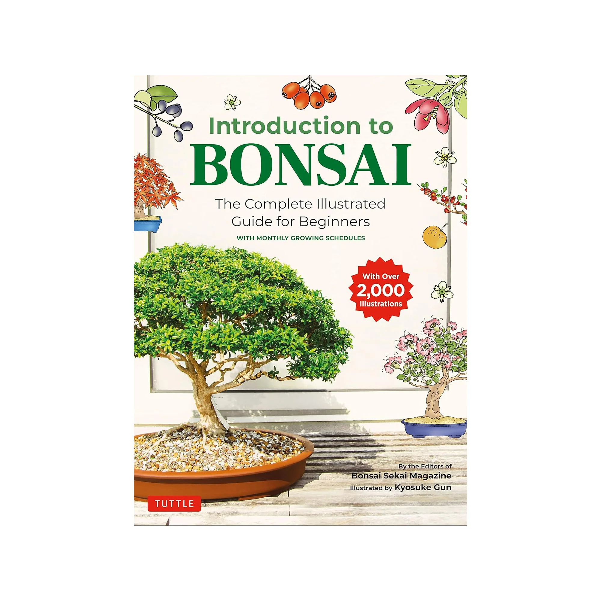 INTRODUCTION TO BONSAI: THE COMPLETE ILLUSTRATED GUIDE FOR BEGINNERS