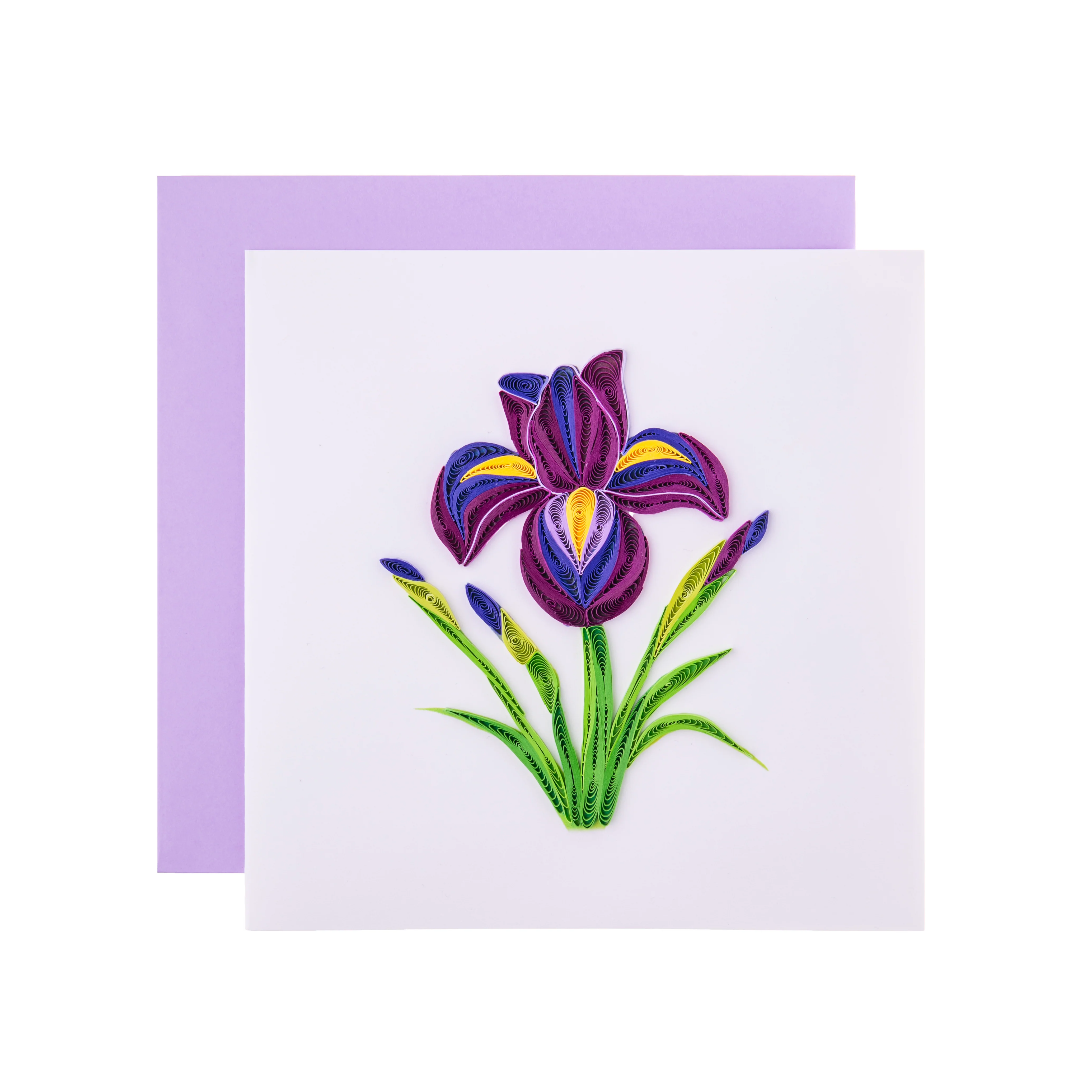IRIS FLOWER QUILLED CARD