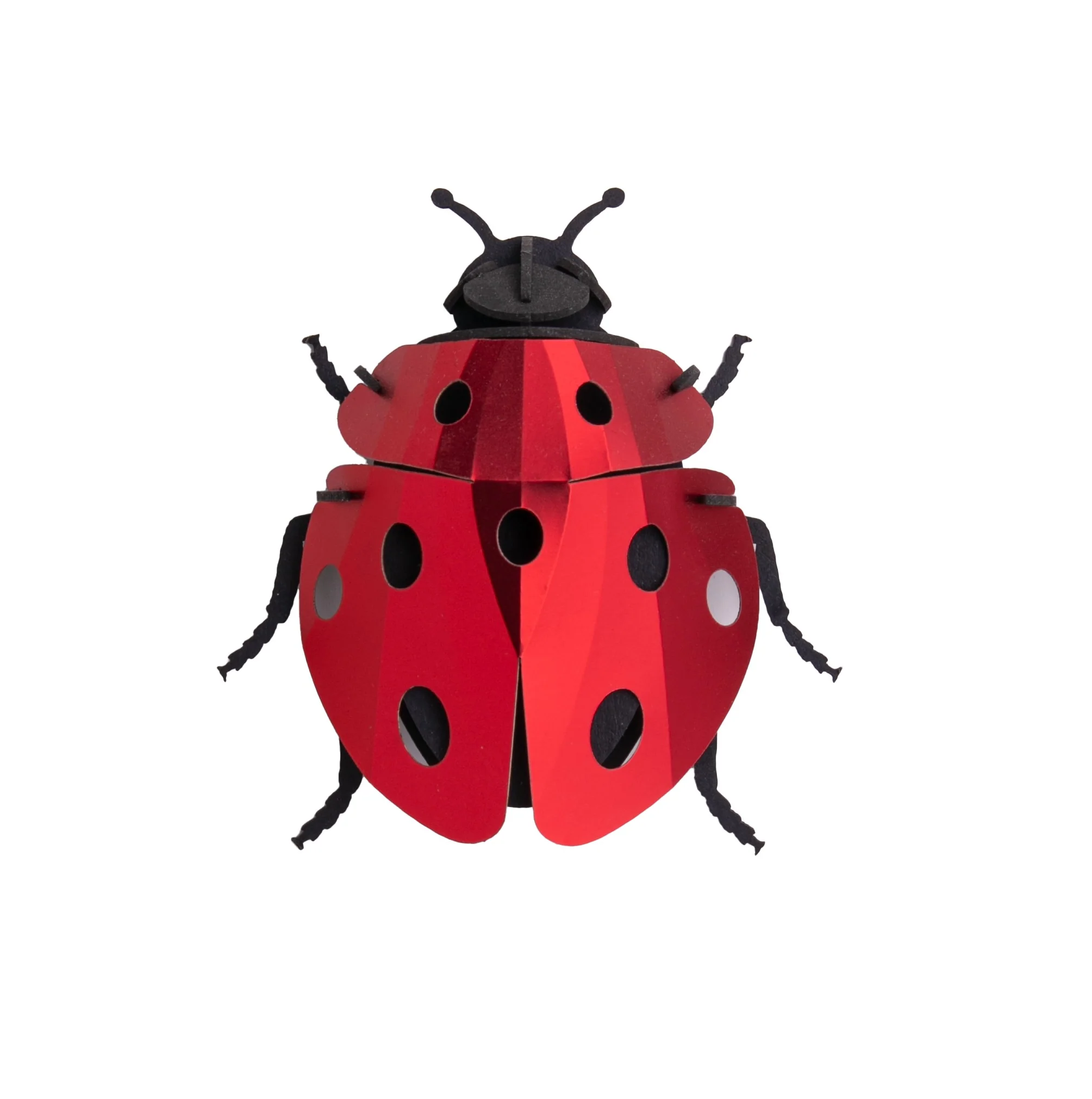 LADYBUG CRAFT KIT