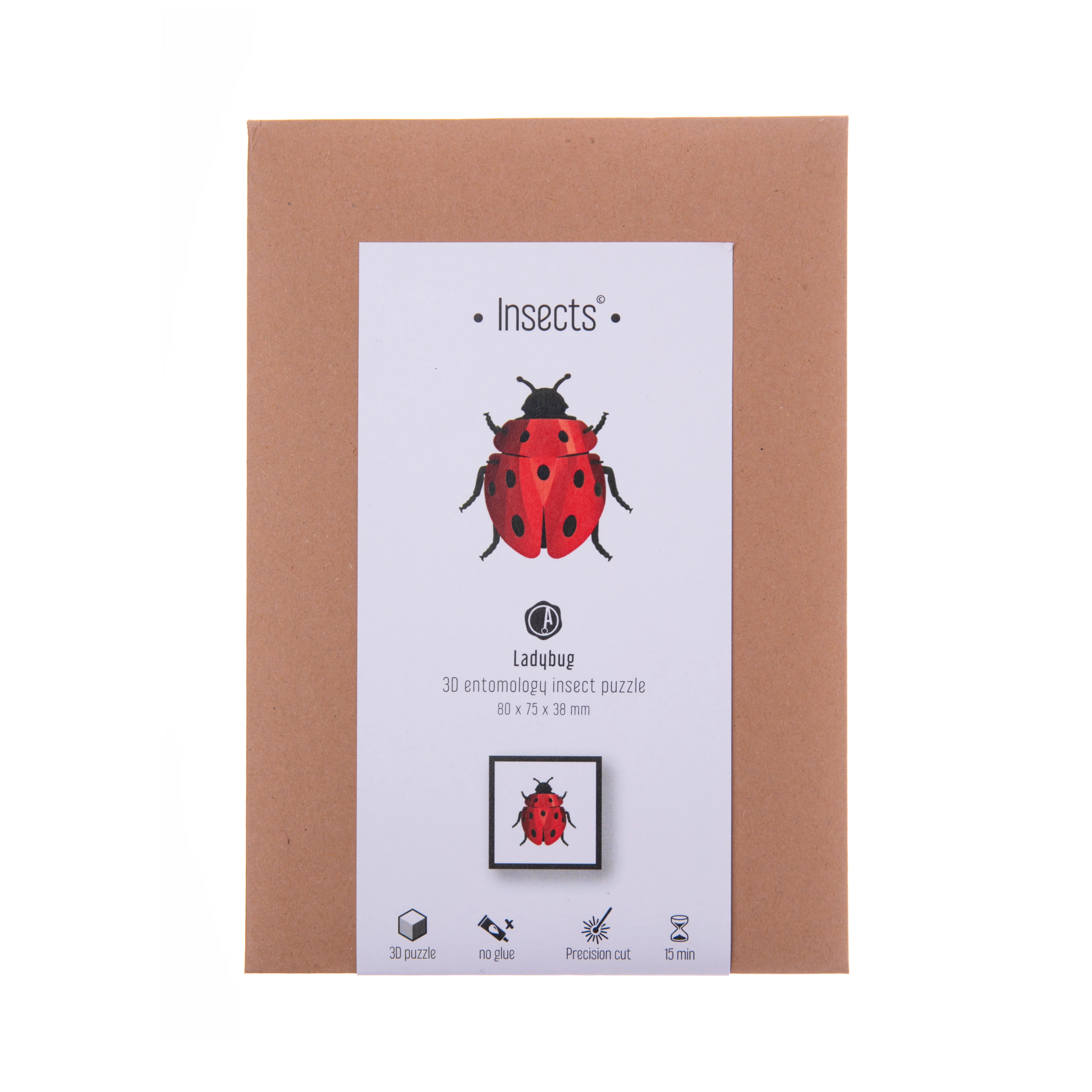 LADYBUG CRAFT KIT - Image 2