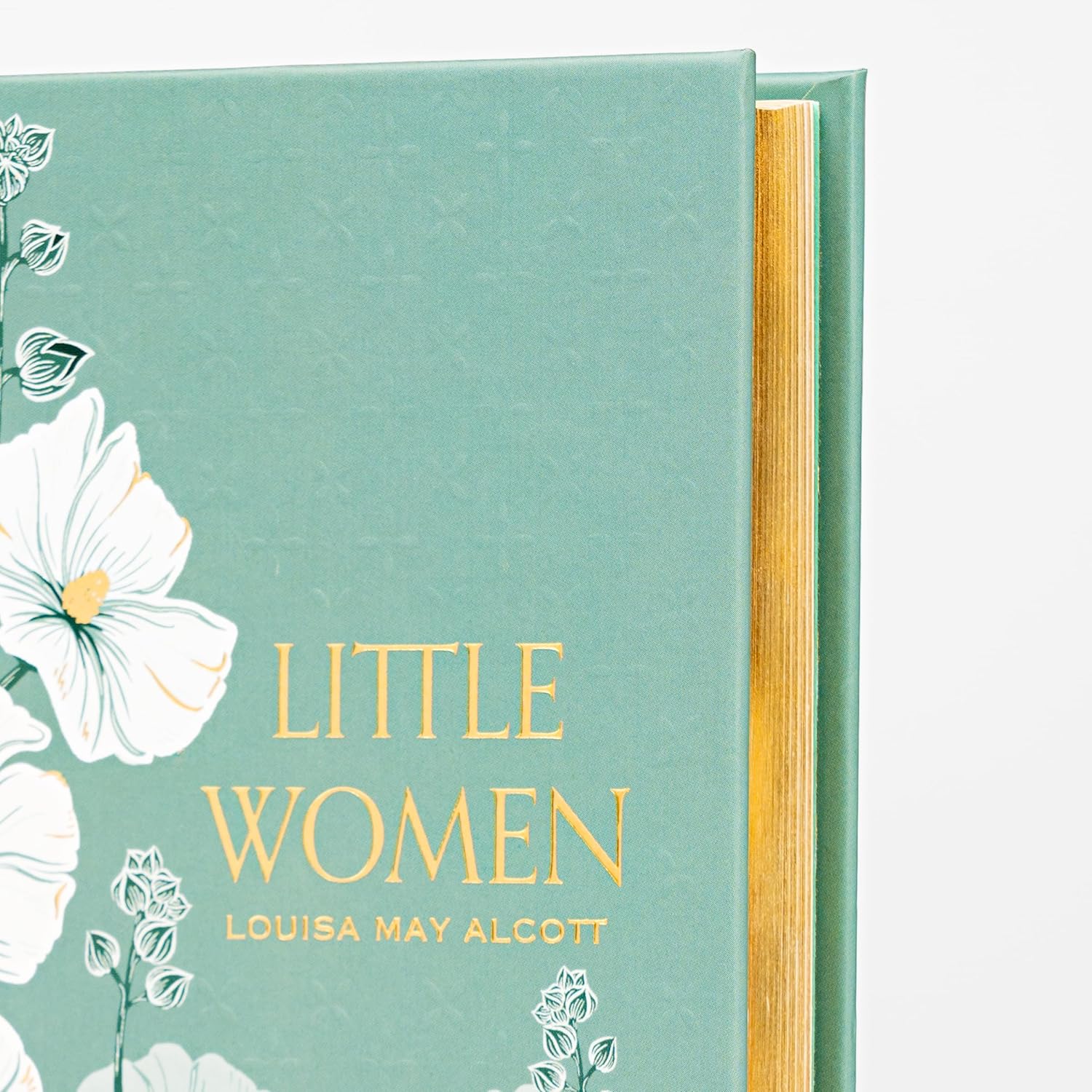 LITTLE WOMEN - Image 4
