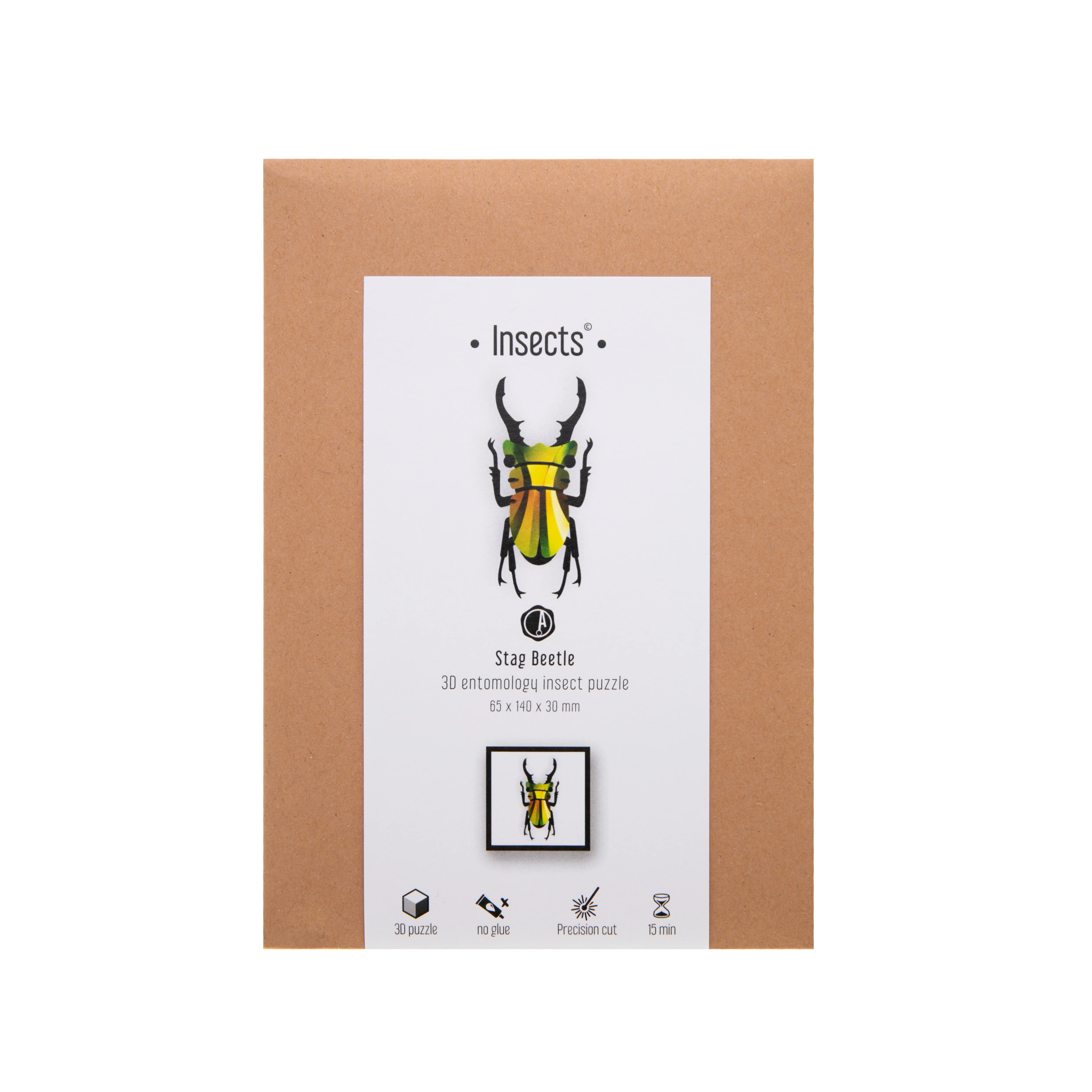MANGO GREEN METALLIC STAG BEETLE CRAFT KIT - Image 3