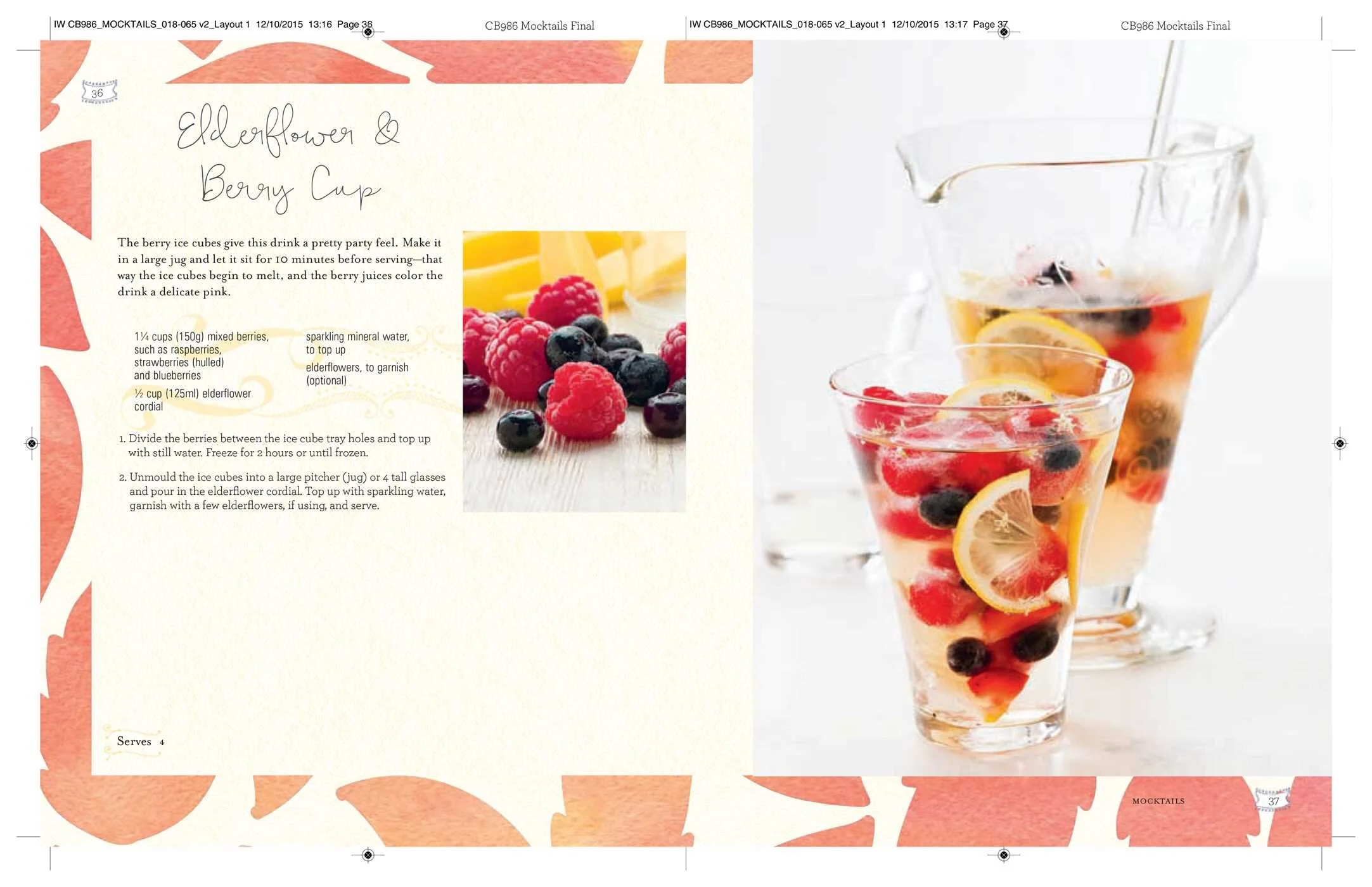 MOCKTAILS, CORDIALS, SYRUPS, INFUSIONS & MORE - Image 3