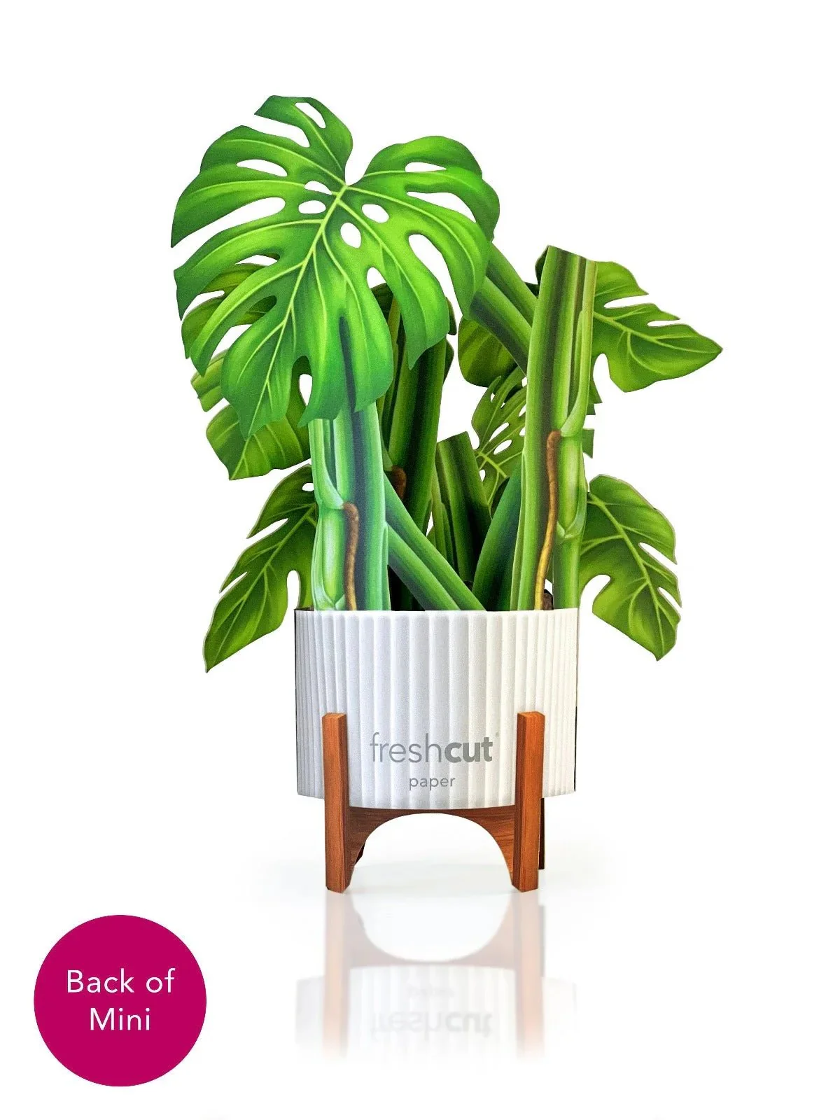 MONSTERA PLANT MINI POP-UP GREETING CARD - Image 3