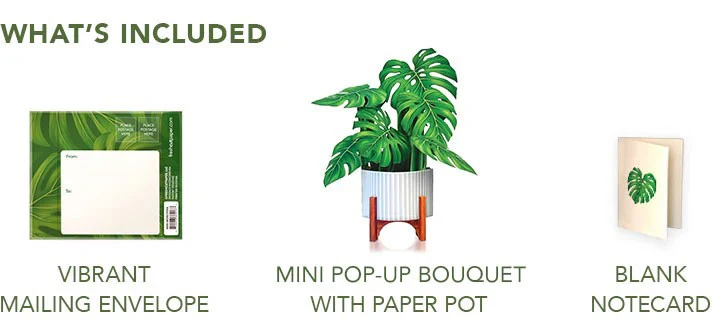 MONSTERA PLANT MINI POP-UP GREETING CARD - Image 4