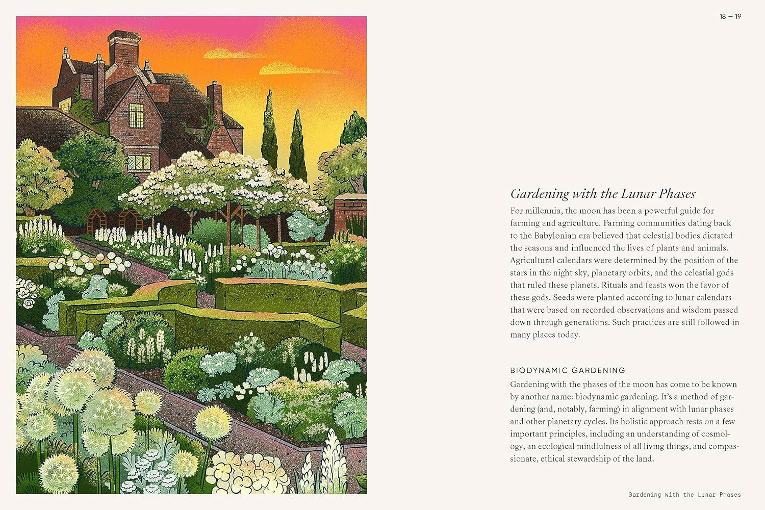 MOON GARDEN: A GUIDE TO CREATING AN EVENING OASIS - Image 2