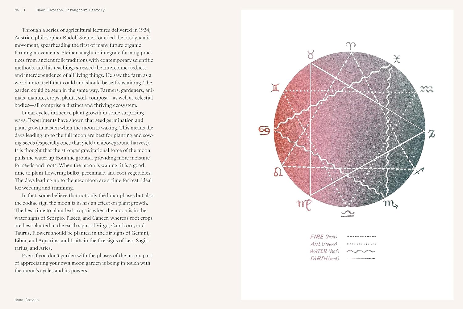MOON GARDEN: A GUIDE TO CREATING AN EVENING OASIS - Image 3