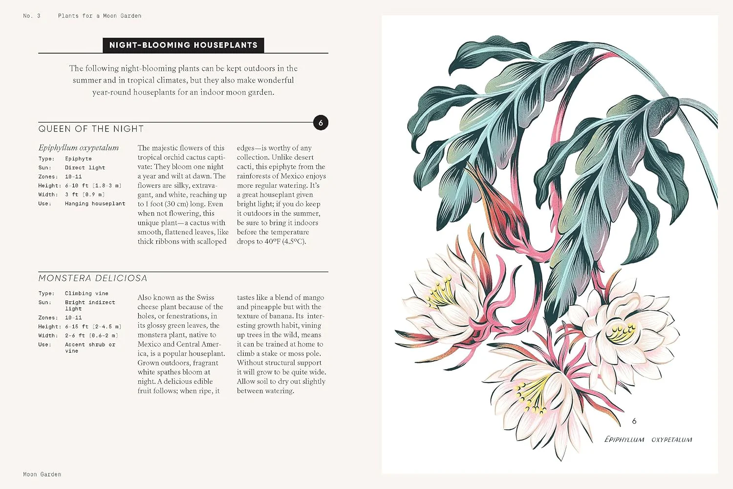 MOON GARDEN: A GUIDE TO CREATING AN EVENING OASIS - Image 4