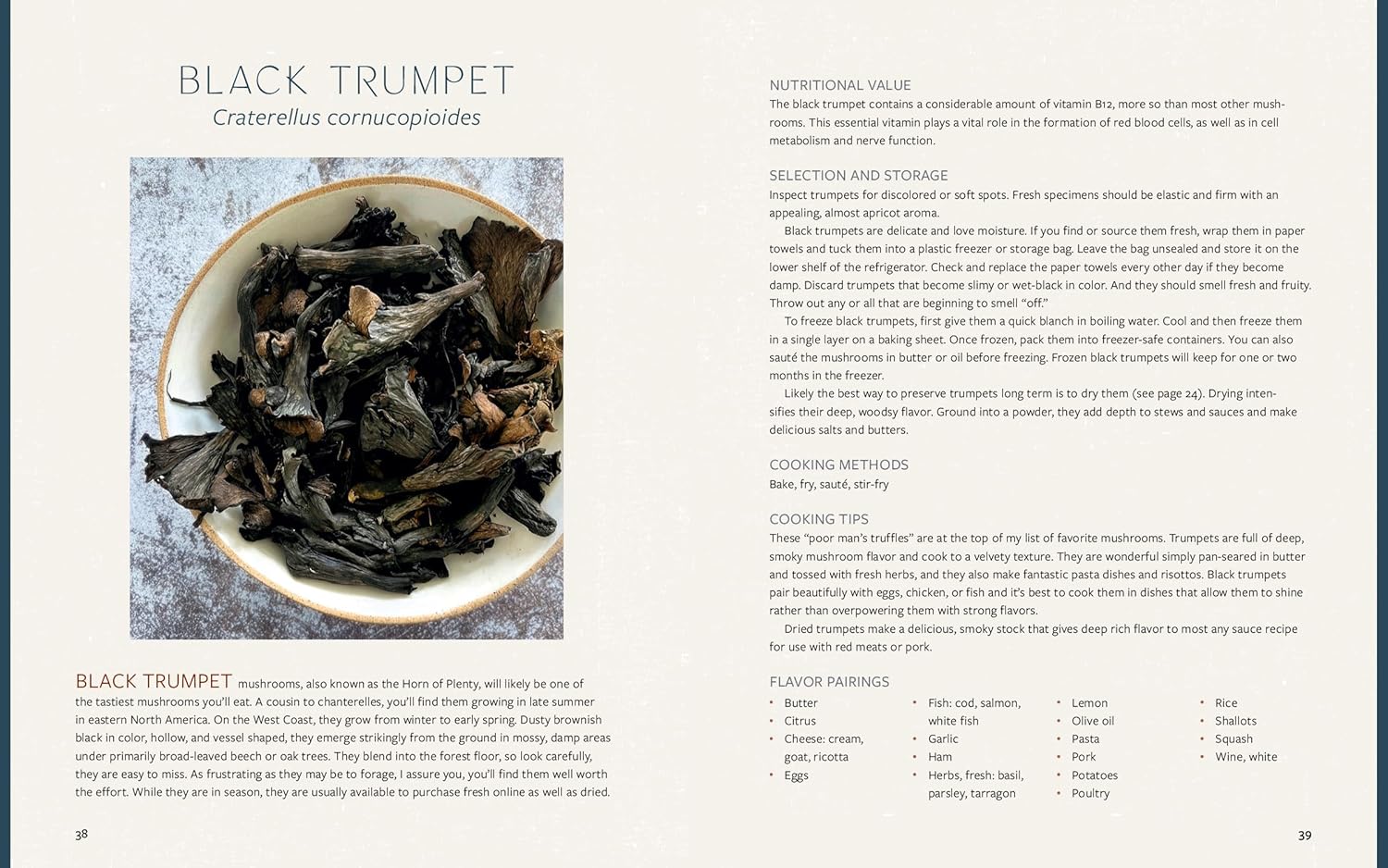 MUSHROOM GASTRONOMY - Image 2