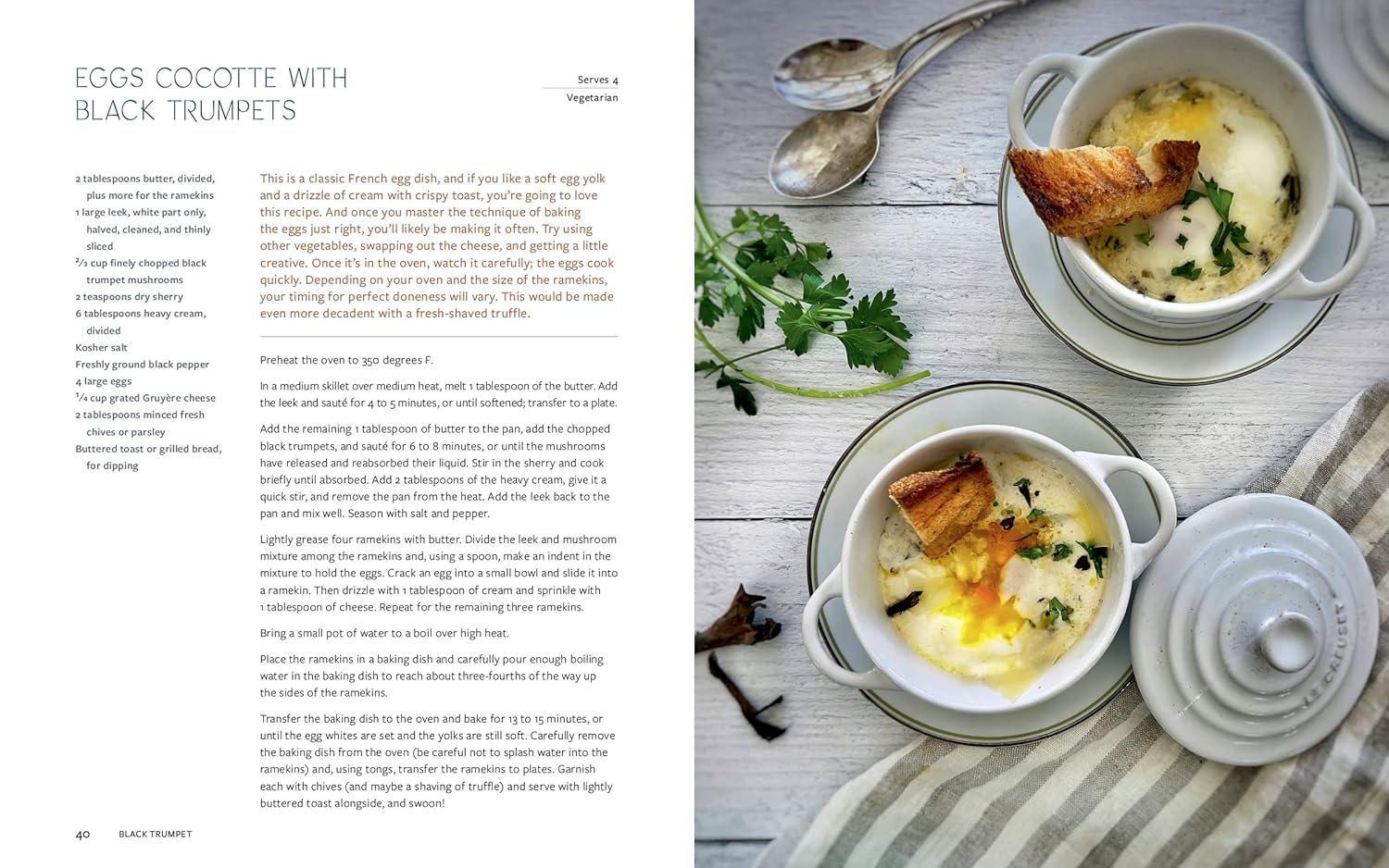MUSHROOM GASTRONOMY - Image 5