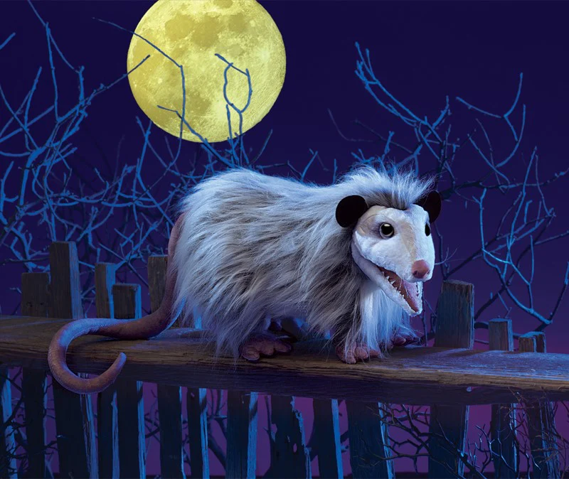 OPOSSUM PUPPET - Image 4