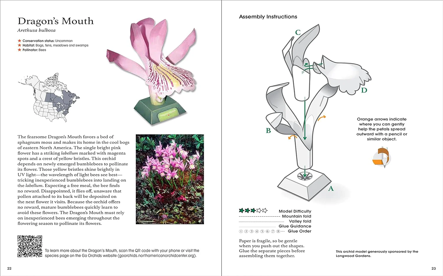 ORIGAMI ORCHIDS PAPER MODEL KIT - Image 3