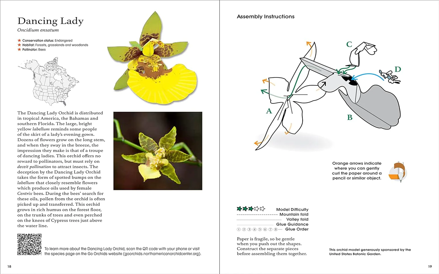 ORIGAMI ORCHIDS PAPER MODEL KIT - Image 4