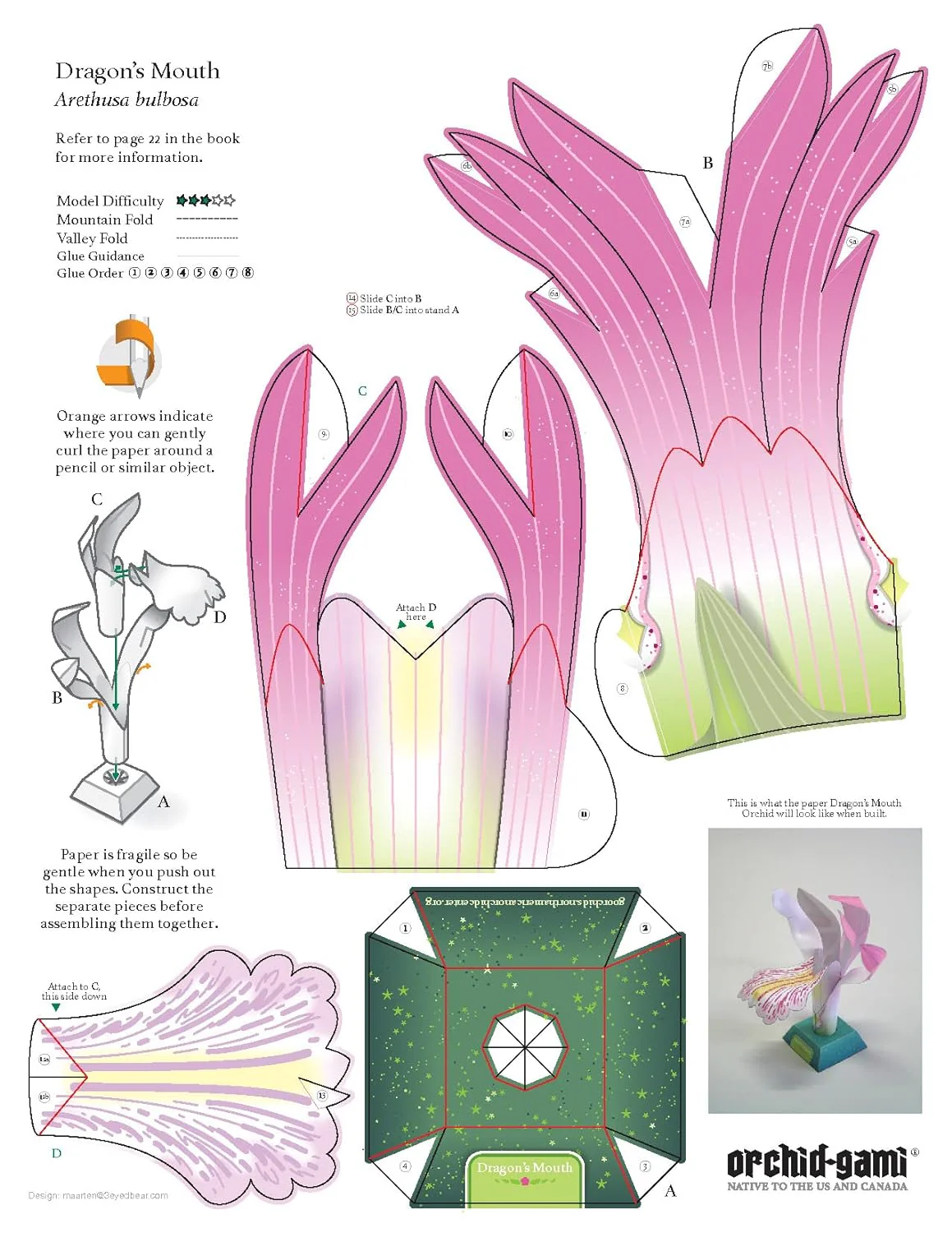ORIGAMI ORCHIDS PAPER MODEL KIT - Image 5