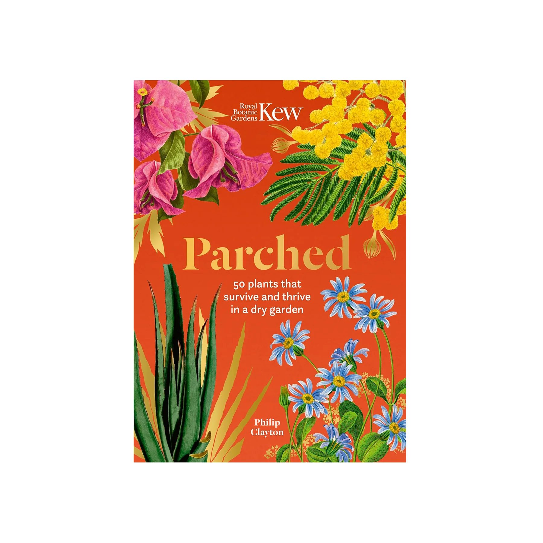 PARCHED: 50 PLANTS THAT THRIVE & SURVIVE IN A DRY GARDEN