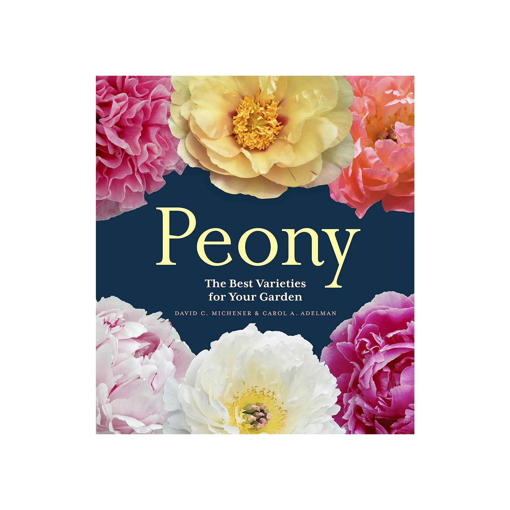 PEONY: THE BEST VARIETIES FOR YOUR GARDEN