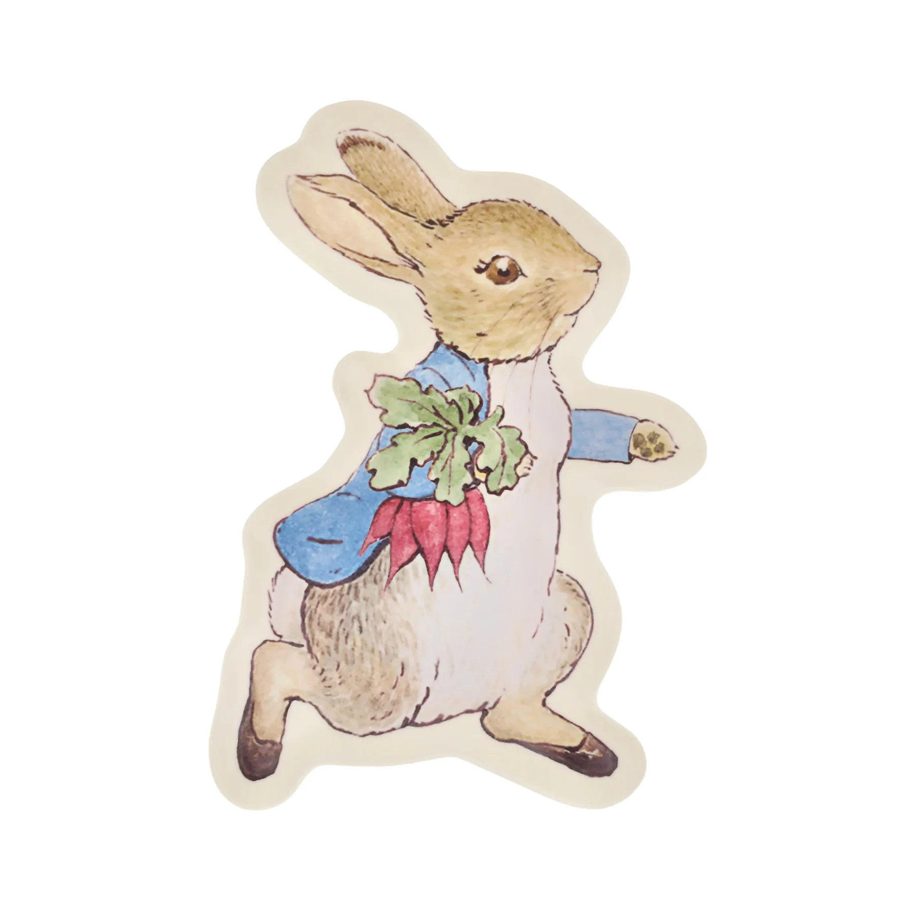 PETER RABBIT REUSABLE PLATE