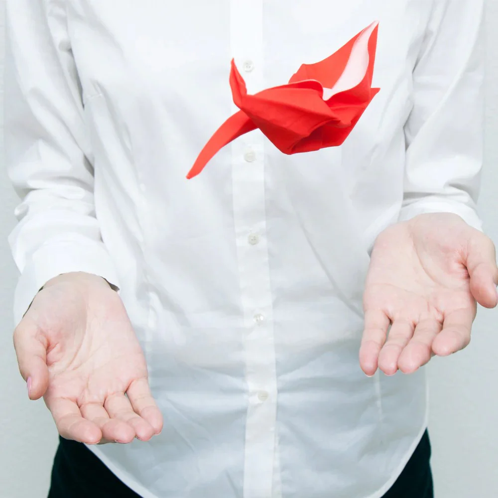PETI PETO SELF-FOLDING CLEANING CLOTH - Image 3
