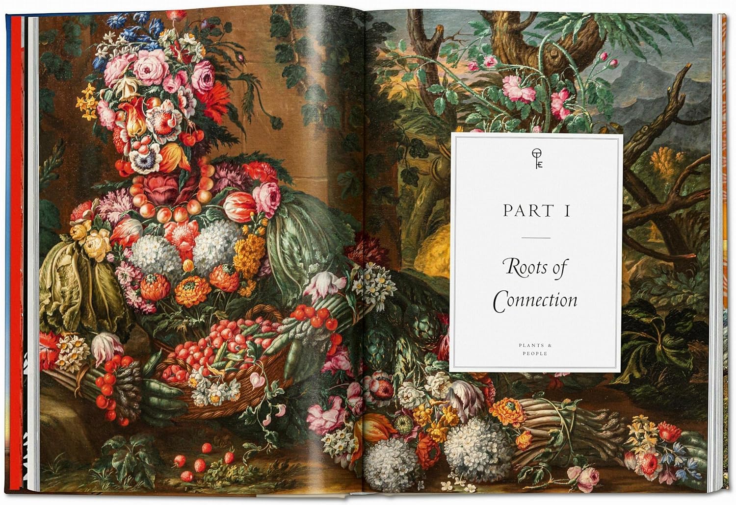 PLANT MAGICK - THE LIBRARY OF ESOTERICA - Image 2