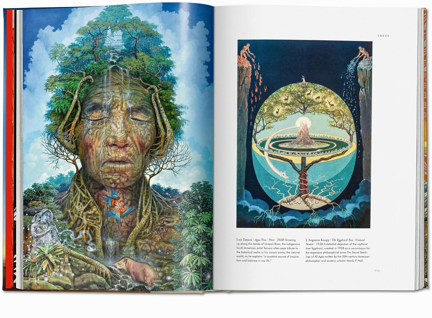 PLANT MAGICK - THE LIBRARY OF ESOTERICA - Image 5