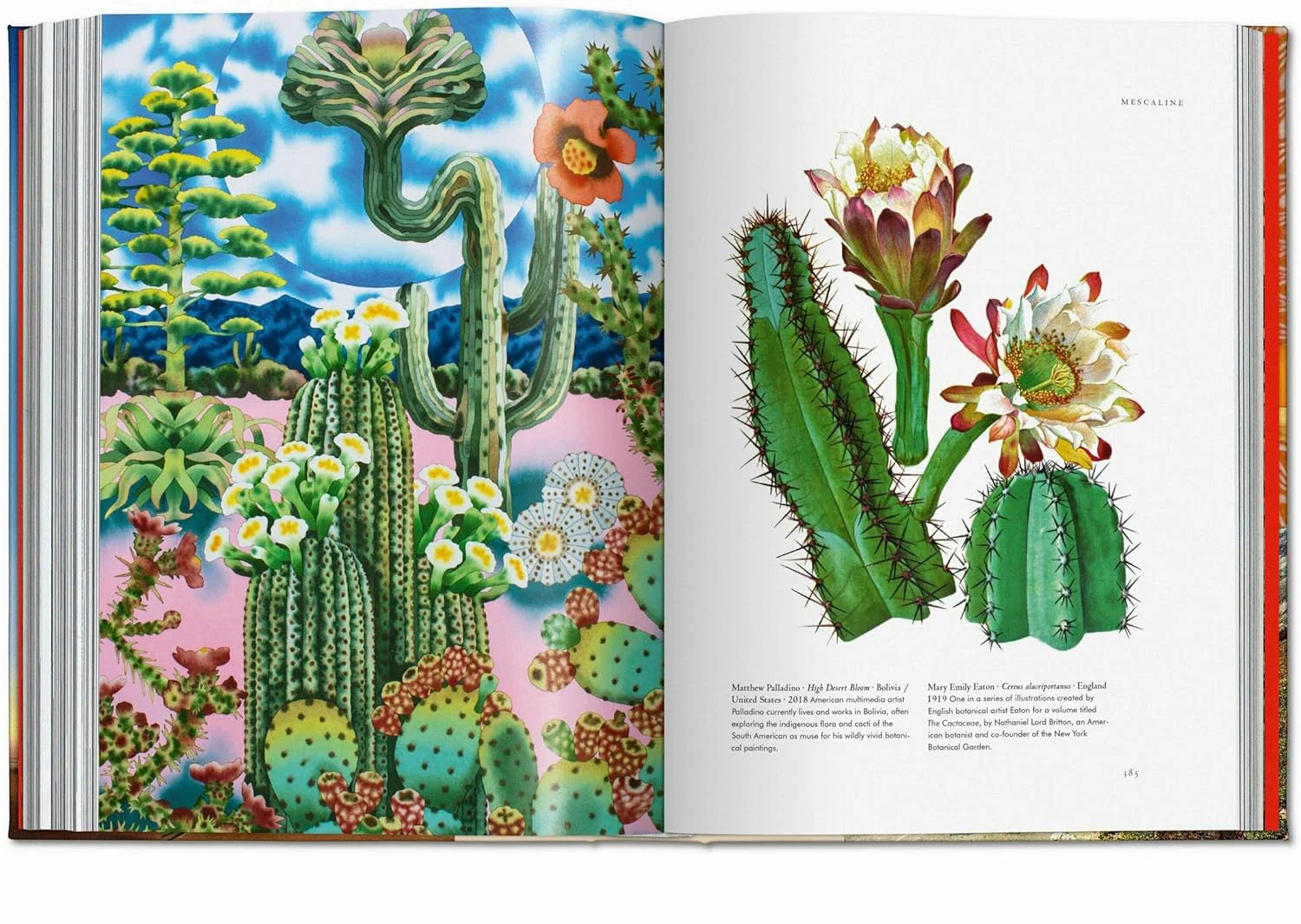 PLANT MAGICK - THE LIBRARY OF ESOTERICA - Image 6