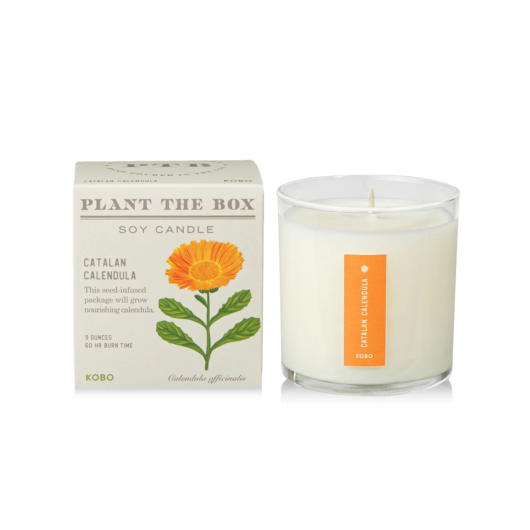 PLANTABLE BOX CANDLE - CATALAN CALENDULA