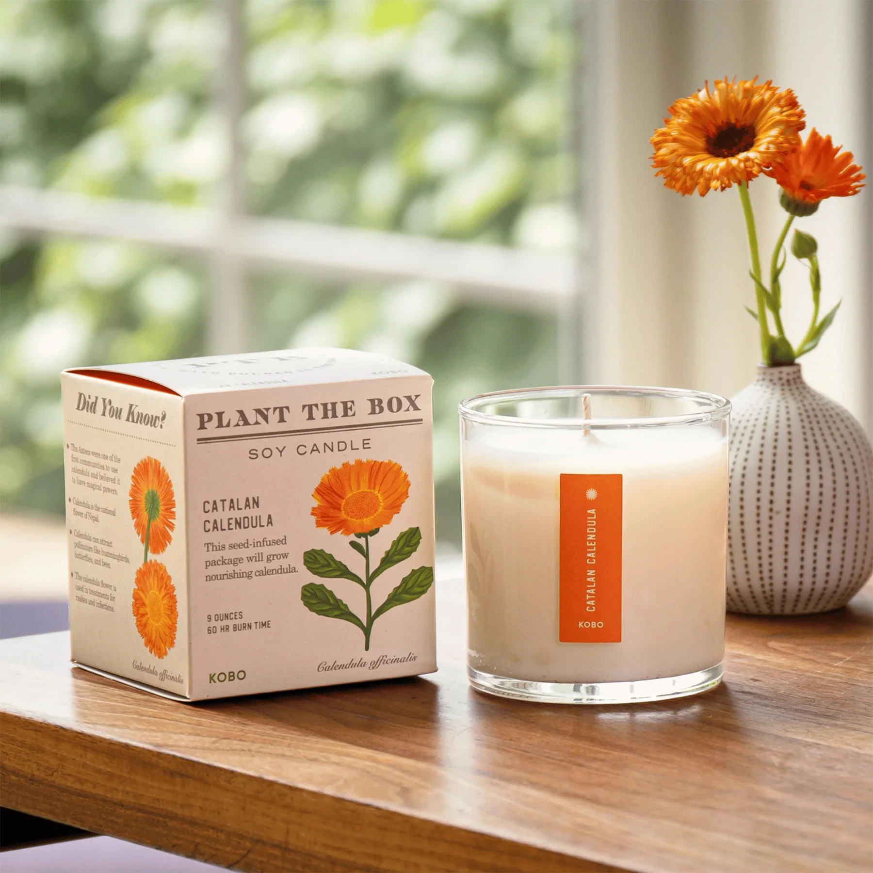 PLANTABLE BOX CANDLE - CATALAN CALENDULA - Image 2