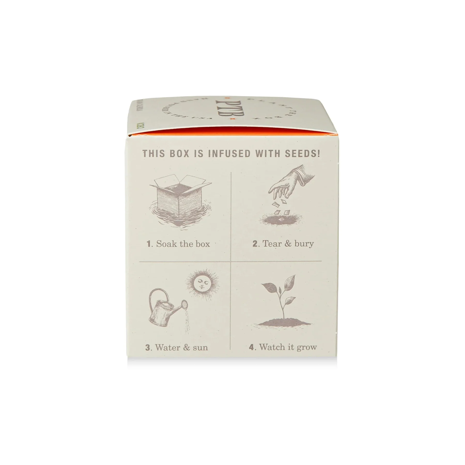 PLANTABLE BOX CANDLE - CATALAN CALENDULA - Image 3