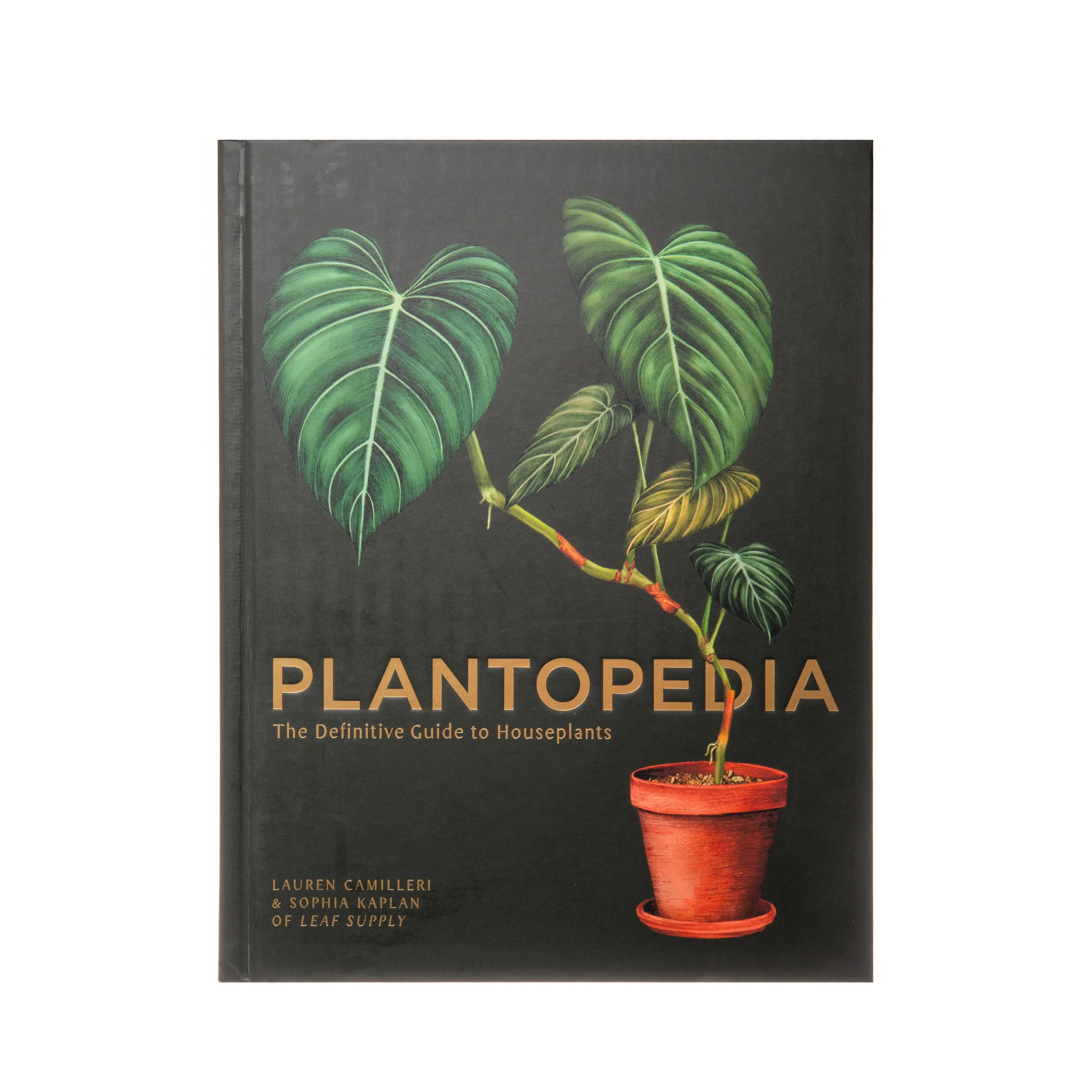 PLANTOPEDIA: THE DEFINITIVE GUIDE TO HOUSEPLANTS - Image 2