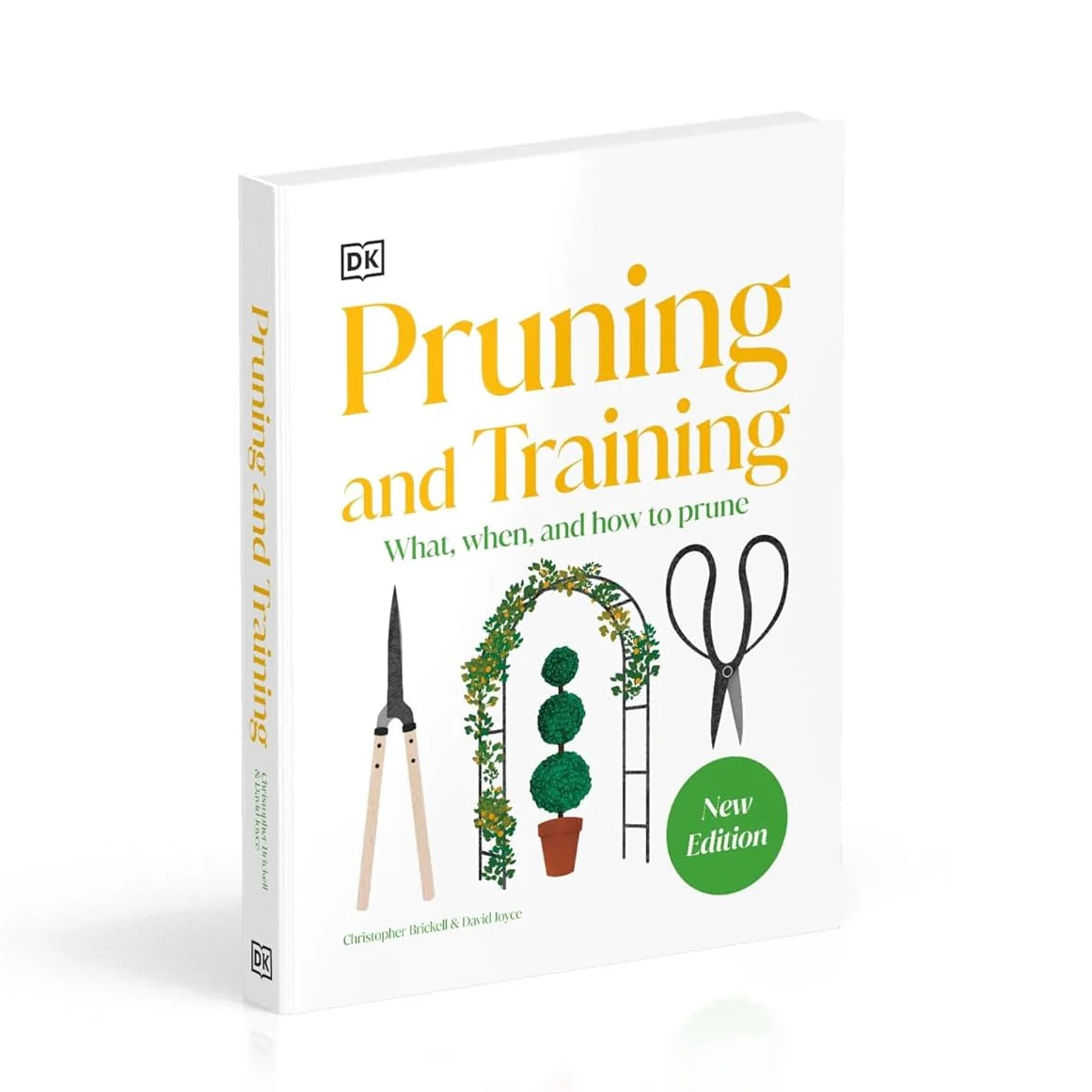 PRUNING AND TRAINING: WHAT, WHEN, AND HOW TO PRUNE