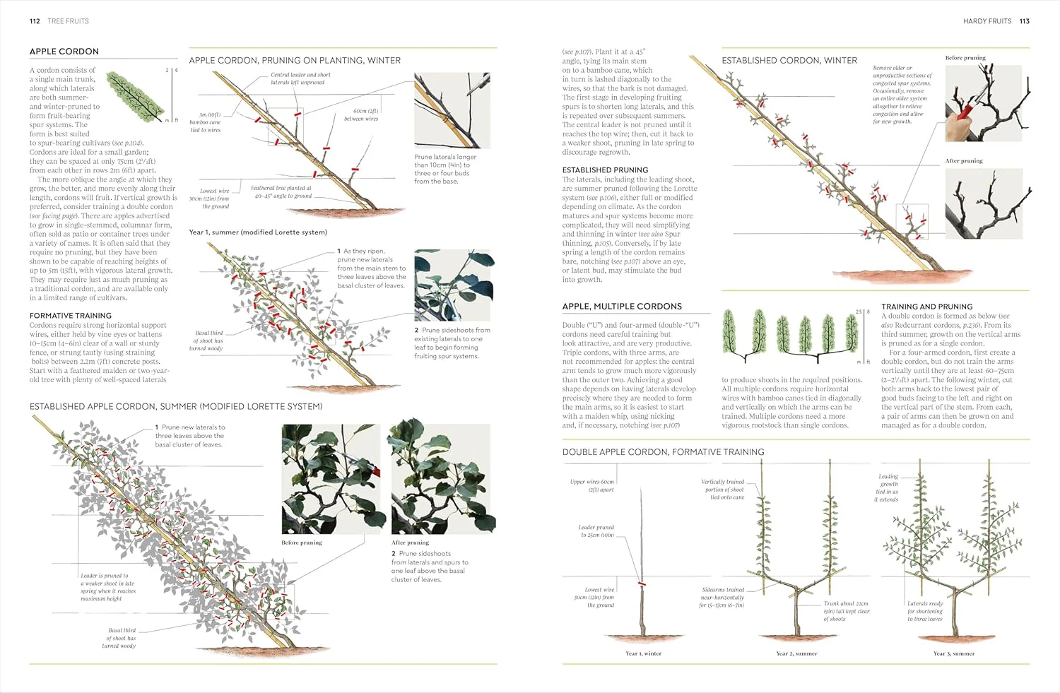PRUNING AND TRAINING: WHAT, WHEN, AND HOW TO PRUNE - Image 4