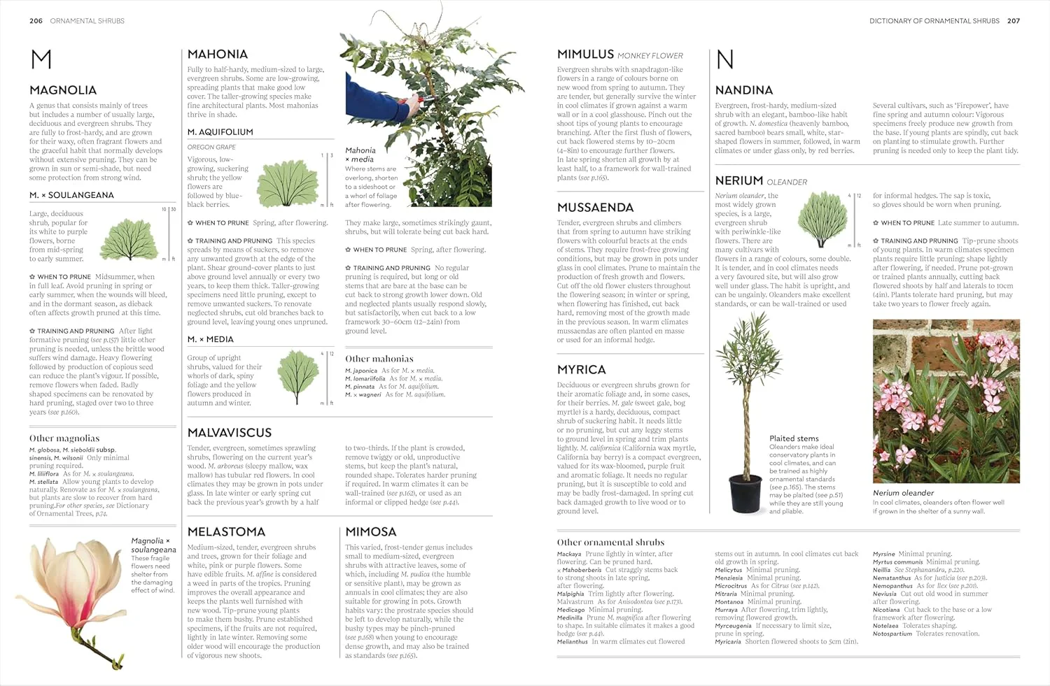 PRUNING AND TRAINING: WHAT, WHEN, AND HOW TO PRUNE - Image 5